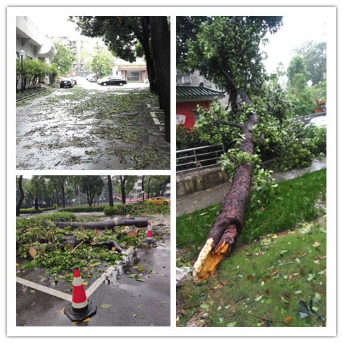 1.清障前.jpg 1.清障前.jpg