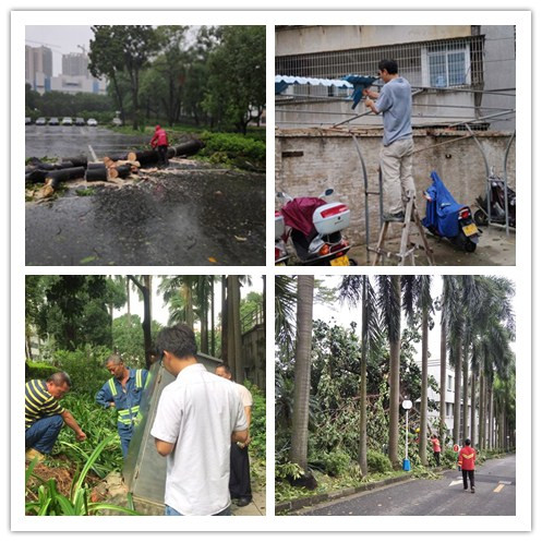 2.清障.jpg 2.清障.jpg