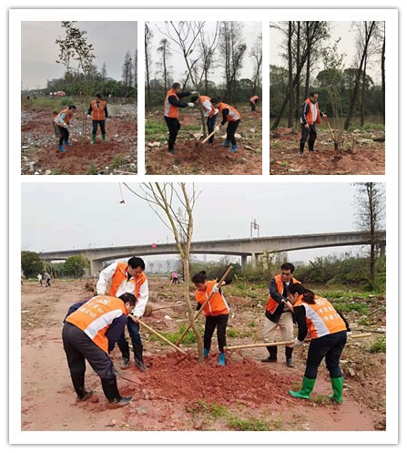 义务植树活动.jpg 义务植树活动.jpg