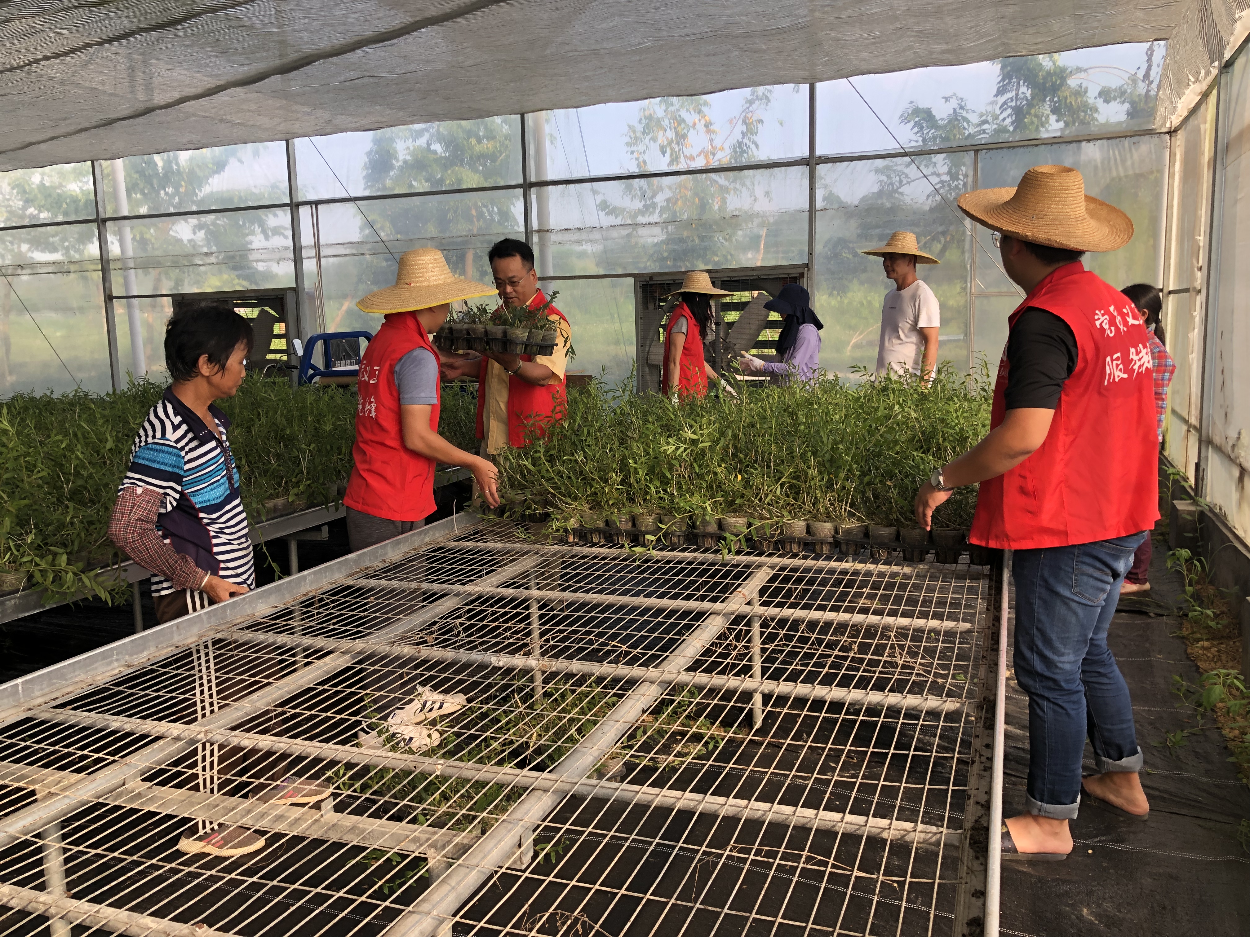 418448685435220827.jpg 418448685435220827.jpg