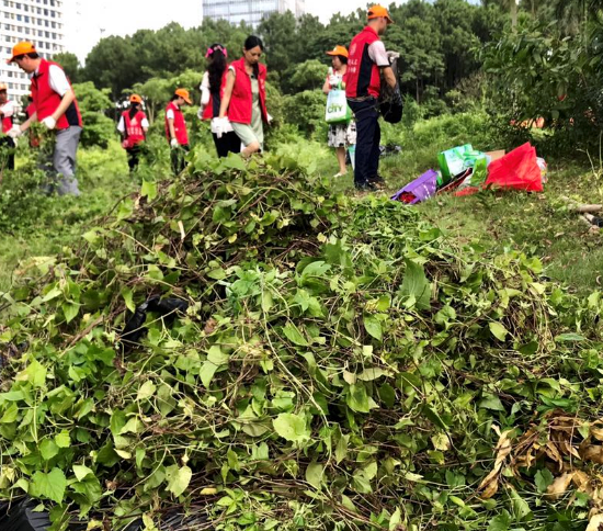 190624争当绿色先锋推动党建与业务融合 (2).png 190624争当绿色先锋推动党建与业务融合 (2).png