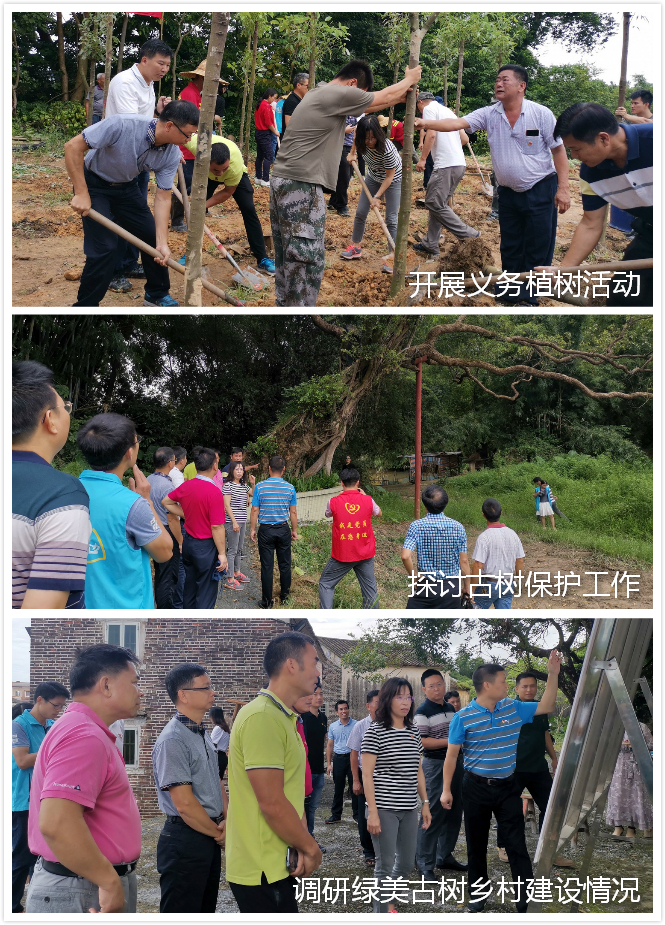 190904省林业局生态保护修复处到开平市开展主题党日活动并调研森林小镇建设 (1).jpg 190904省林业局生态保护修复处到开平市开展主题党日活动并调研森林小镇建设 (1).jpg