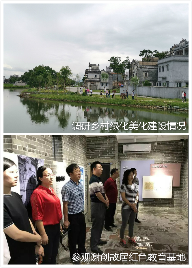 190904省林业局生态保护修复处到开平市开展主题党日活动并调研森林小镇建设 (2).jpg 190904省林业局生态保护修复处到开平市开展主题党日活动并调研森林小镇建设 (2).jpg