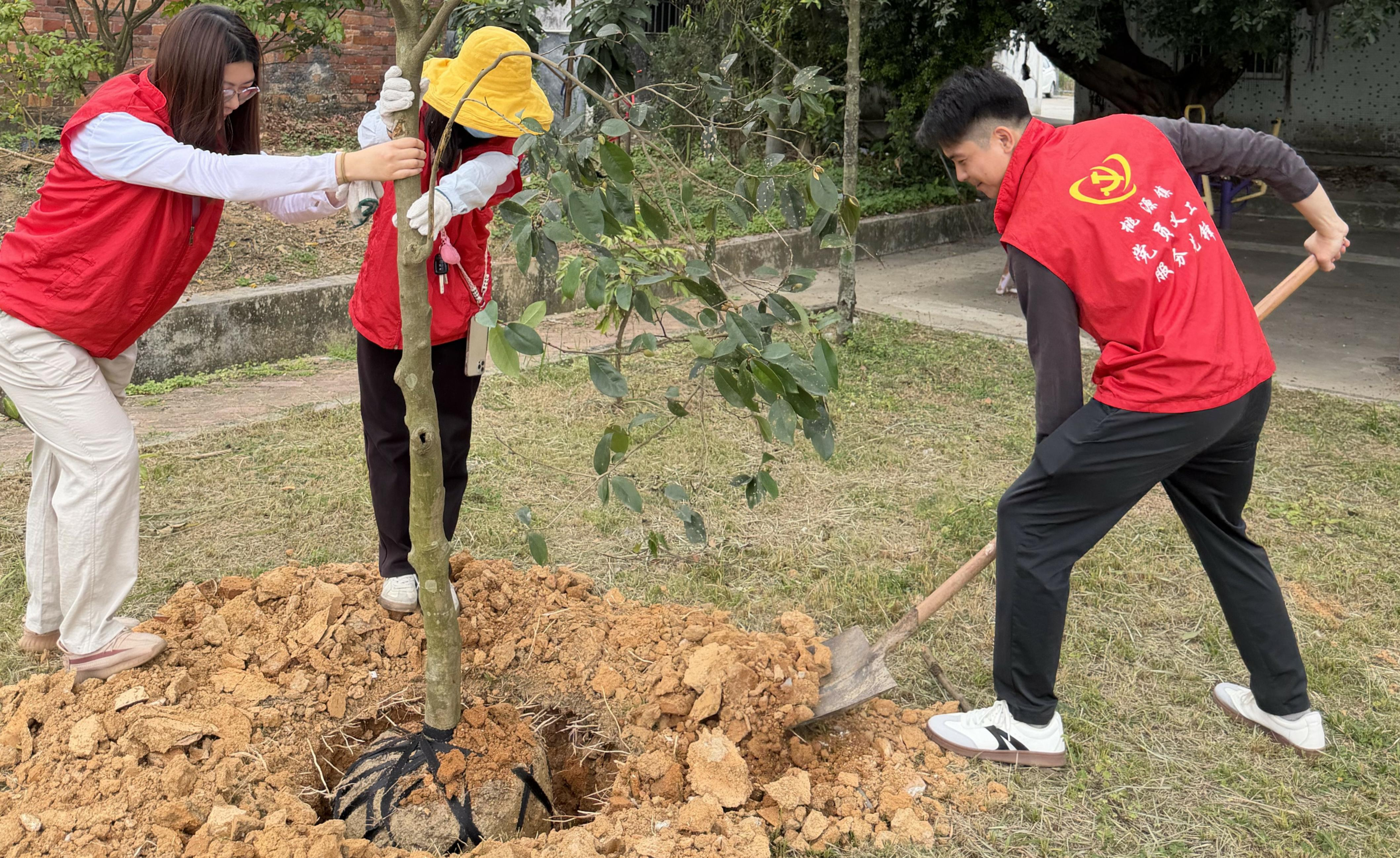 植树护绿践初心 青春奋进新征程——SG飞艇(中国)开奖记录查询站审计局团支部开展义务植树活动